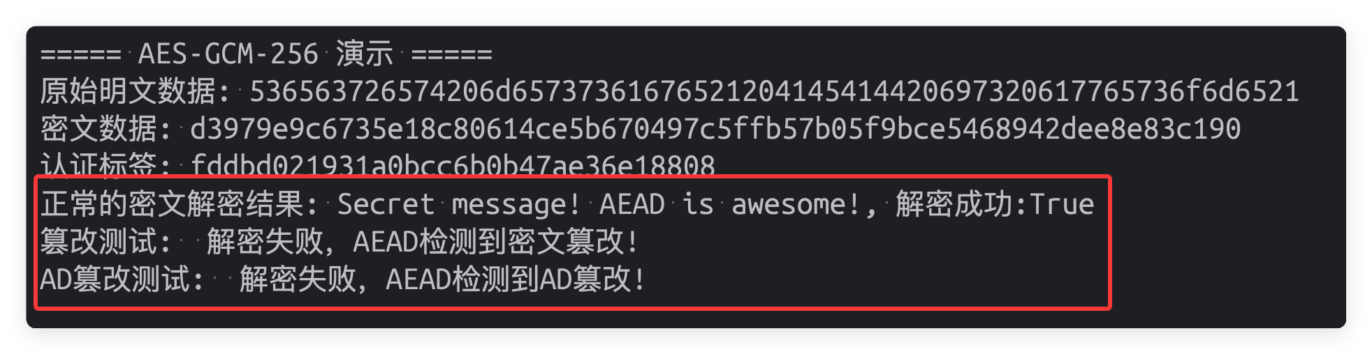 AES-GCM 模式下篡改密文后的运行结果