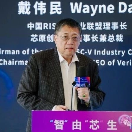 芯原戴伟民：“百模大战”实际是“群模乱舞”，是在浪费电！