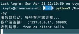 五行代码创建一个Python TCP服务器