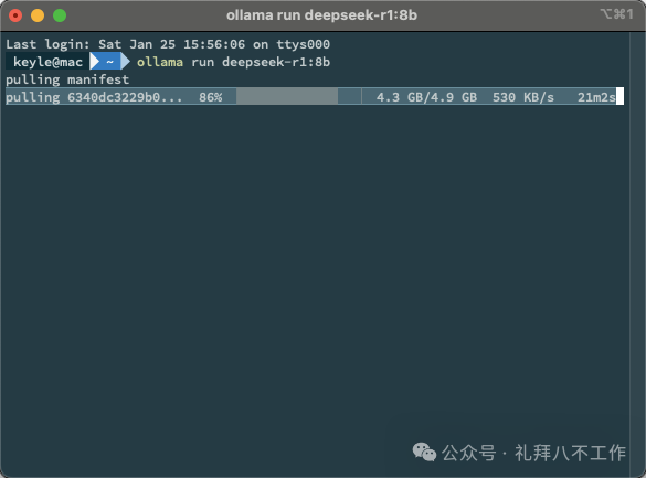 通过Ollama官网下载的app实现一键下载大模型
