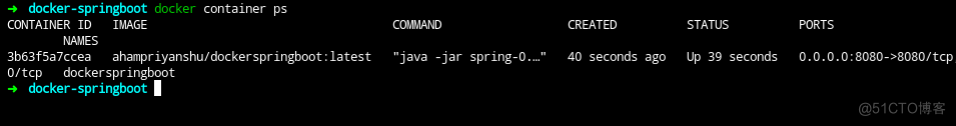 如何使用 Maven 对 Spring Boot 应用程序进行 Docker 化_spring_16