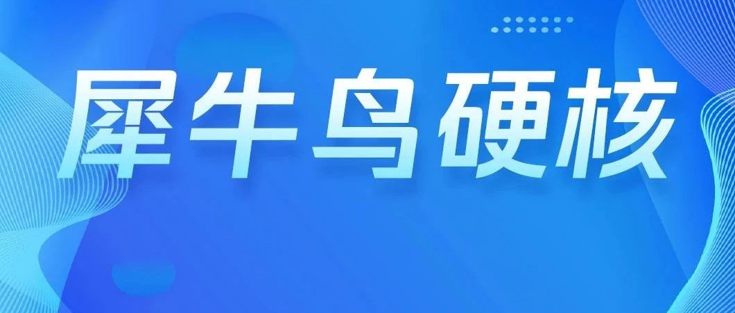 犀牛鸟硬核 | 中科大腾讯联合发布首篇《多模态大语言模型综述》