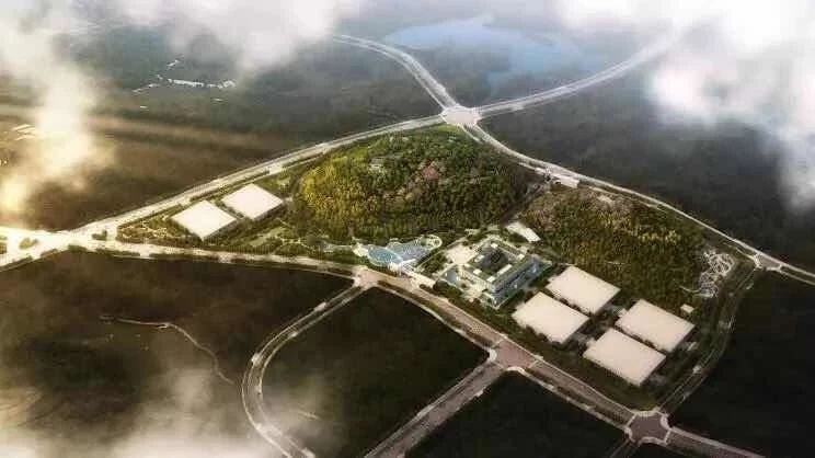腾讯宣布正式养鹅，正在贵州规划建山洞鹅厂