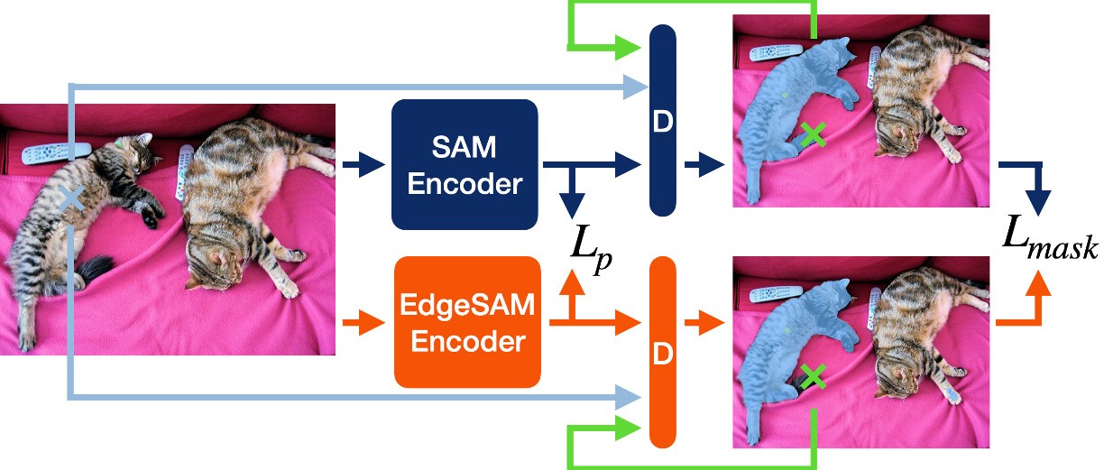 38.7fps！EdgeSAM = RepViT + SAM，移动端超强变种，已开源！