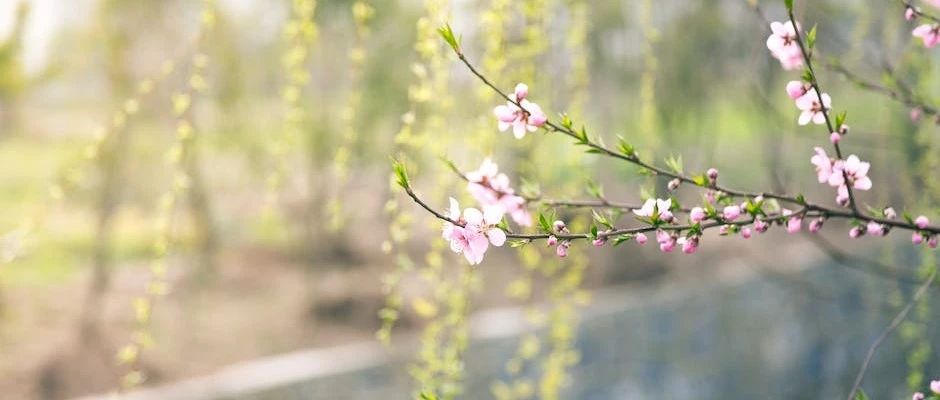 MySQL索引数据结构入门