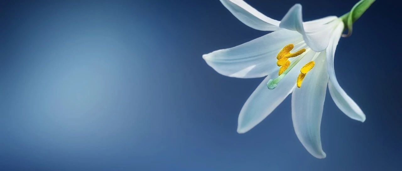 听说 Spring Bean 的创建还有一条捷径？