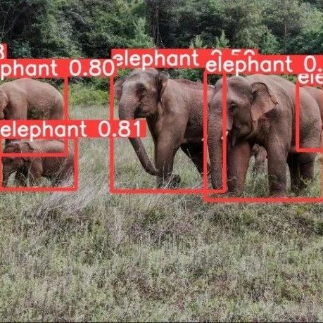 CVPR2024 | YOLO-World 检测一切对象模型