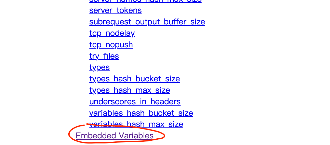 Embedded Variables