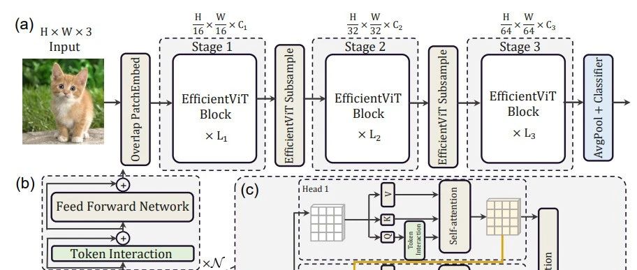 CVPR 2023｜EfficientViT：让ViT更高效部署实现实时推理（附源码）