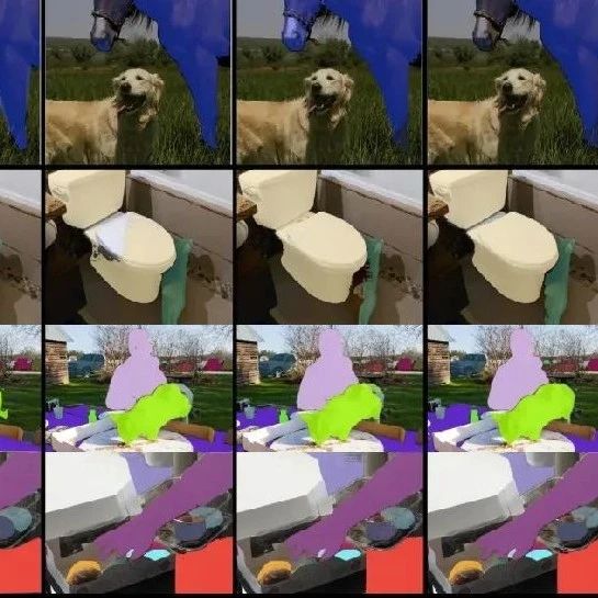 CVPR 2024 | 分割一切模型SAM泛化能力差？域适应策略给解决了