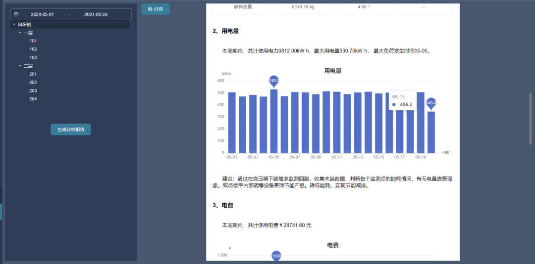 分析报告