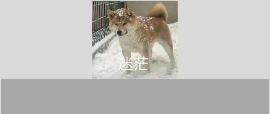 LLM时代NLP研究何去何从？一个博士生的角度出发
