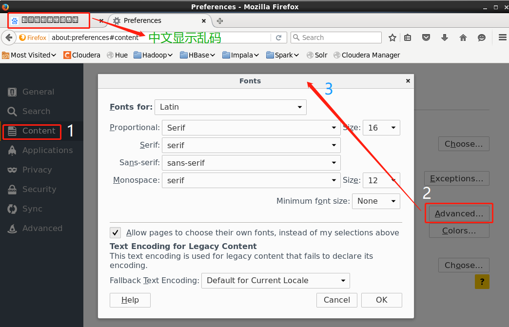 firefox-browser-err02.png