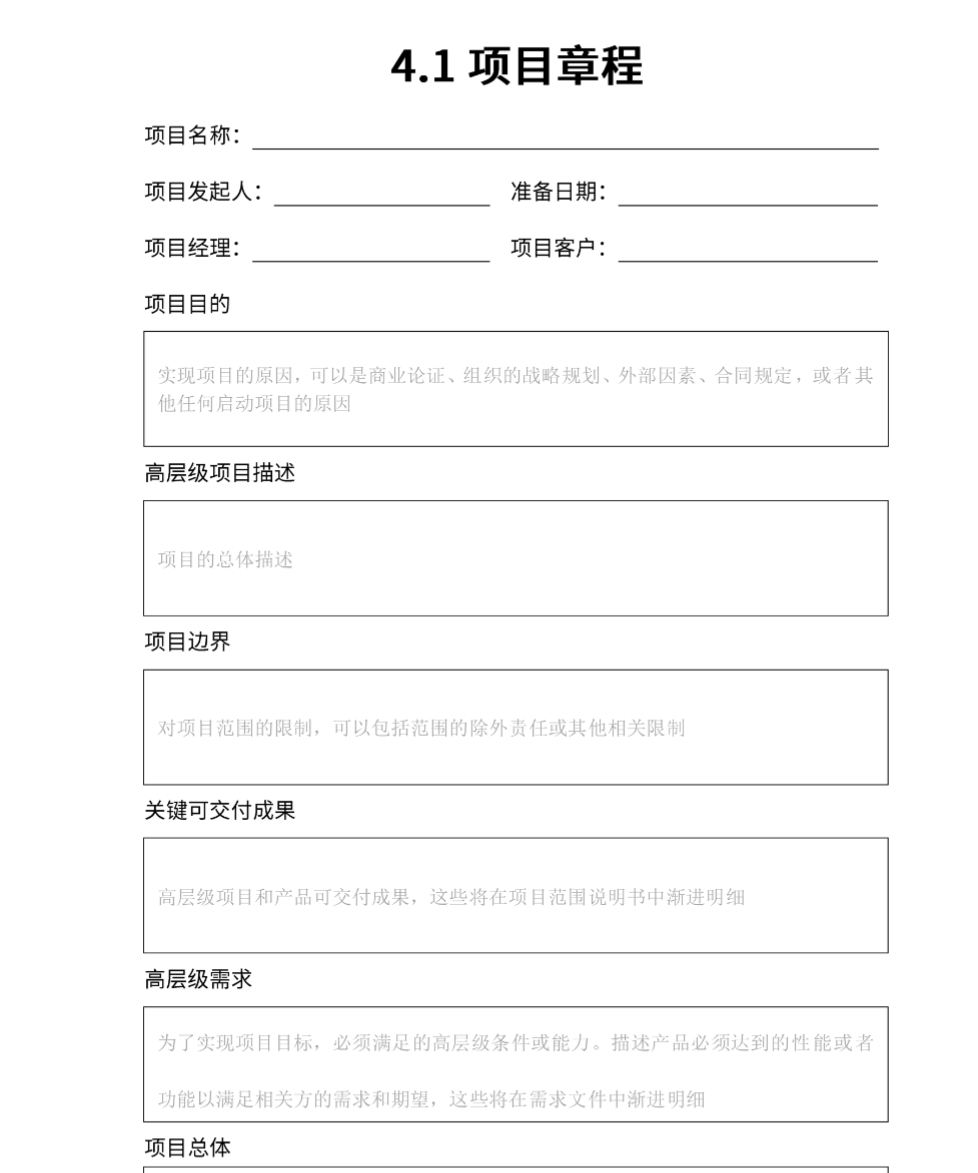 项目章程