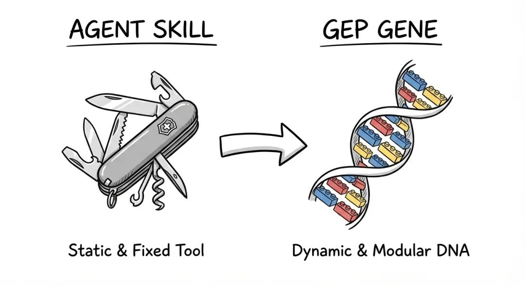 Agent Skill vs GEP Gene:工具与进化的本质之争
