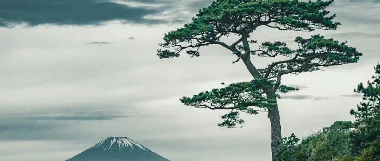 业务流程建模，细到几层？