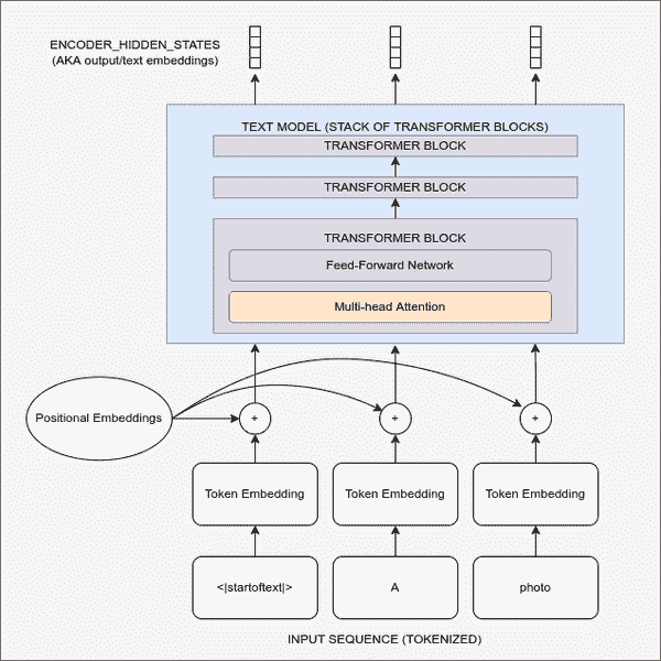 text encoder