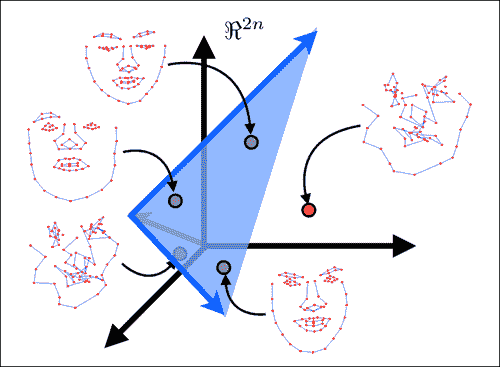 Linear shape models