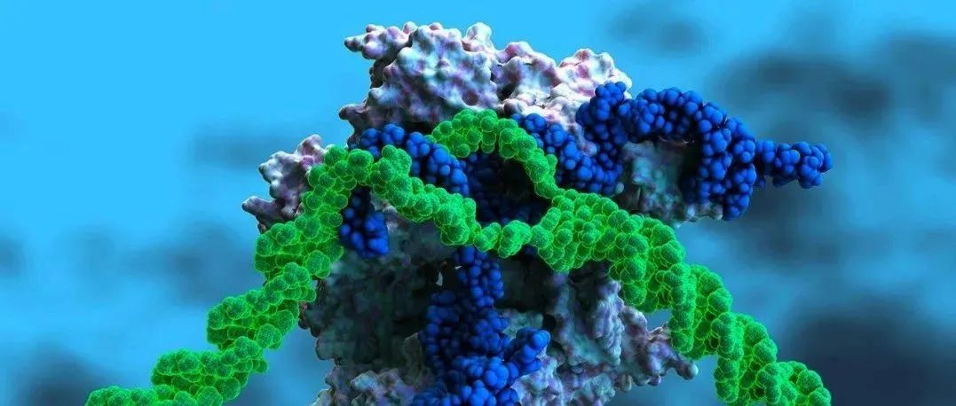 上科大研究登Nature子刊，深度学习更快、更深入地进行磷酸化蛋白质组分析