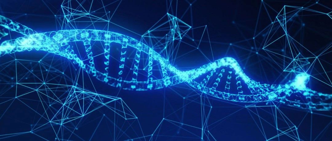 全球首创 ：分子之心开源新AI算法，攻克蛋白质侧链预测与序列设计难题