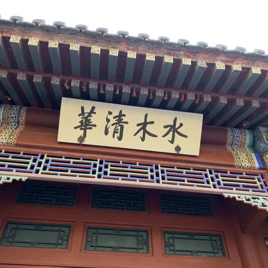 初三就能上清华，丘成桐数学科学领军计划首批名单出炉，本月入校接受预科培养