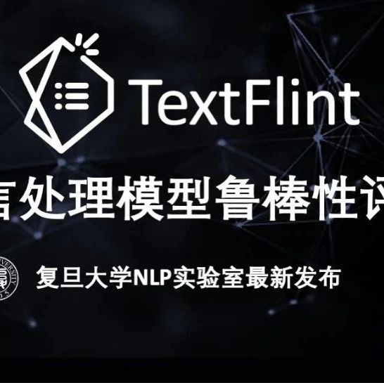模型鲁棒性好不好，复旦大学一键式评测平台告诉你