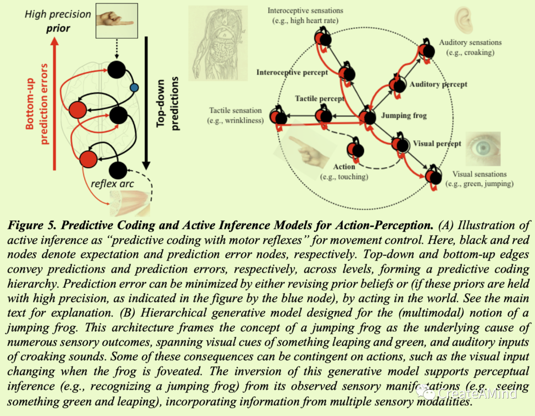 鸭片宠物-鸭片宠物促销价格、鸭片宠物品牌- 淘宝, image size:1080x841