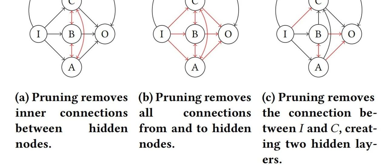 Self-building Neural Networks 代码