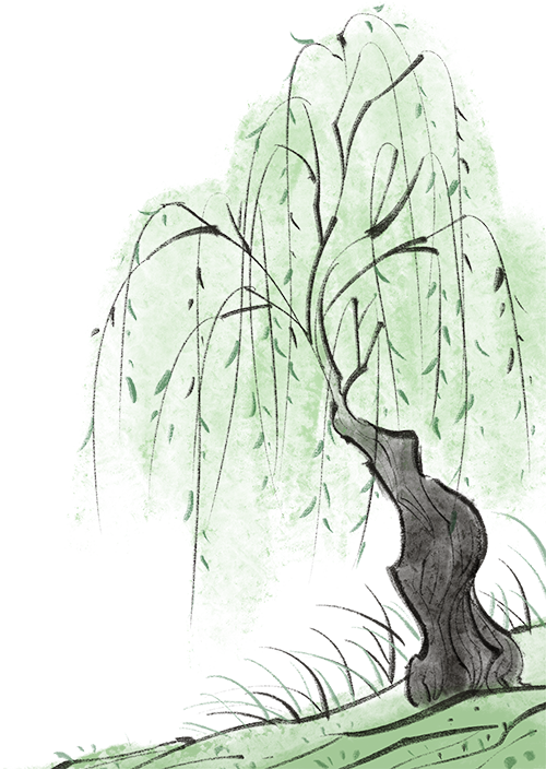 请在此添加图片描述