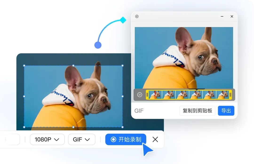 小旺截图GIF动图