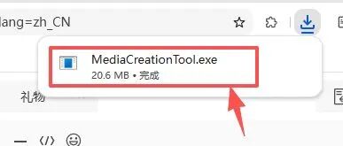 下载的安装工具