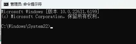 命令提示符窗口