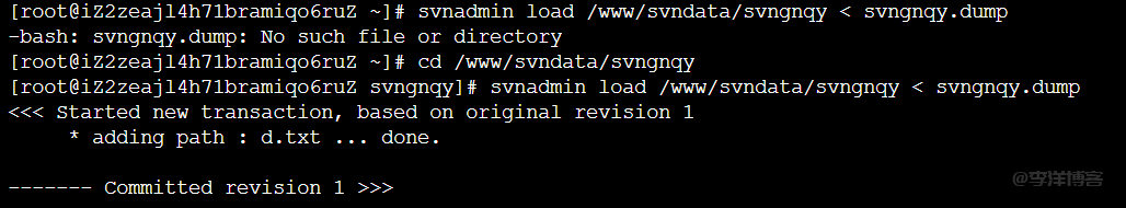 Linux环境下SVN代码库从旧服务器迁移到新服务器的步骤详解 第5张