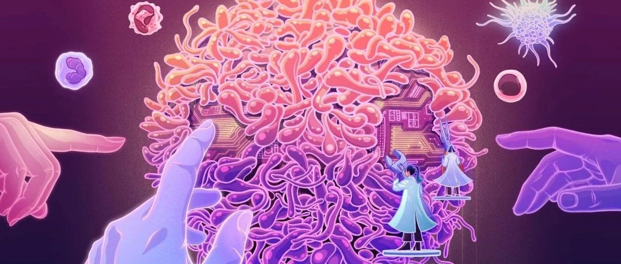 Science AI 大潮已至，科技部亲自下场出大动作
