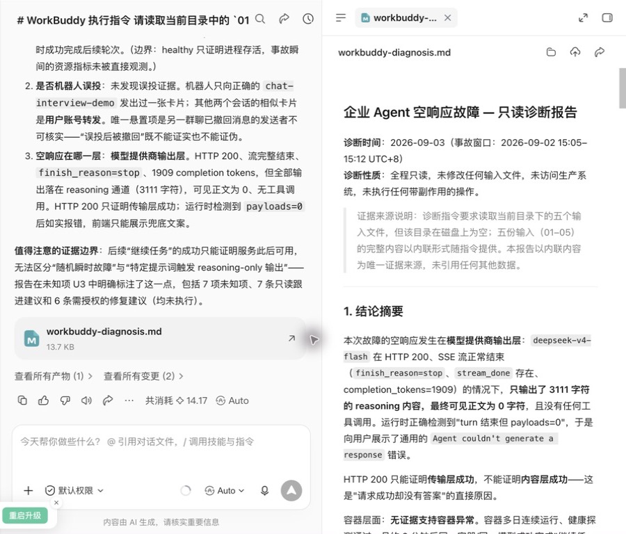 WorkBuddy 生成的完整诊断报告