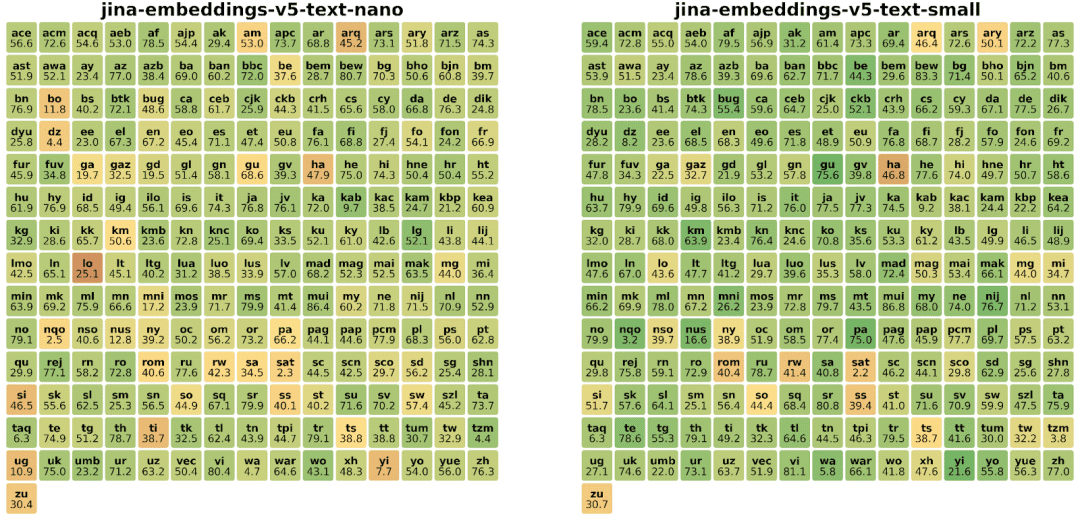 jina-embeddings-v5-text-nano & jina-embeddings-v5-text-small 在 MMTEB 多语言基准测试中的语言