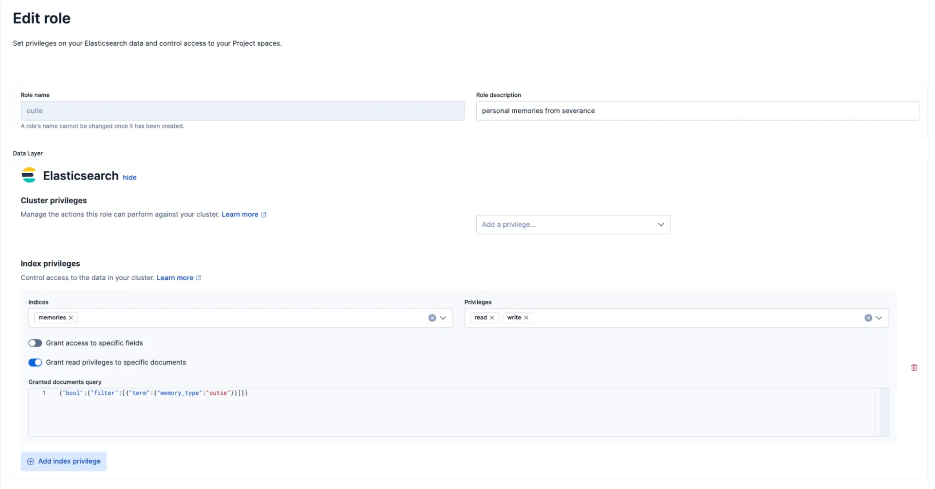 Kibana 中配置 Document Level Security 角色的界面