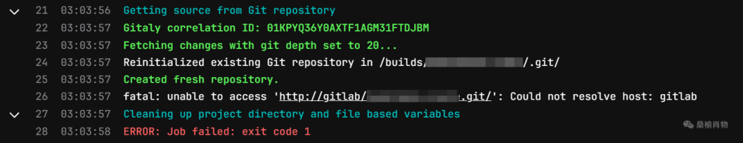 Job 容器无法访问 GitLab