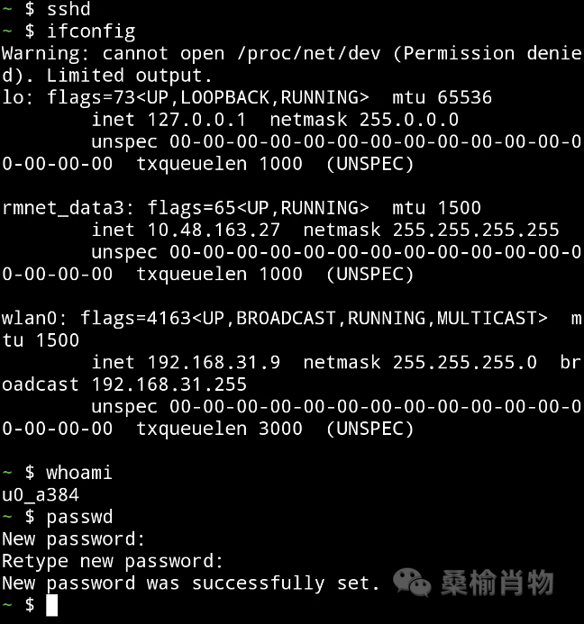 Termux SSH 准备