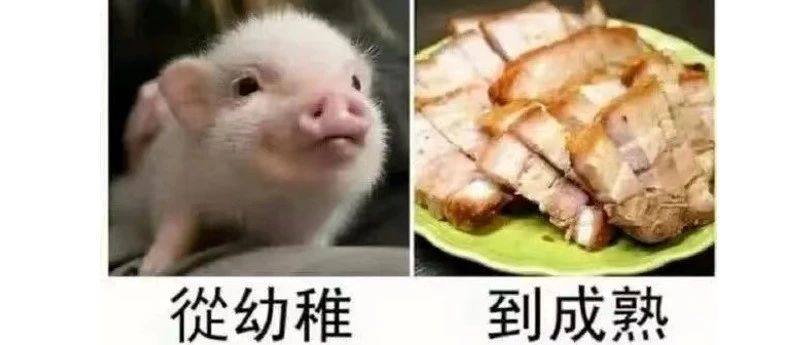 我做了几个项目，还是啥都不会？