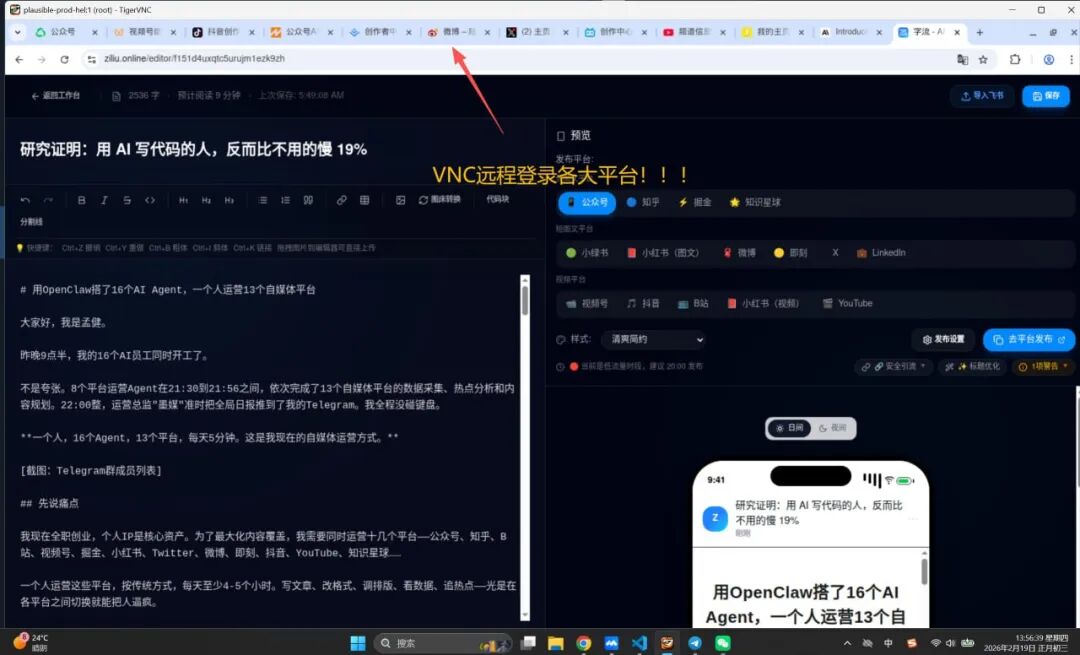 VNC远程桌面——十几个平台Tab同时打开