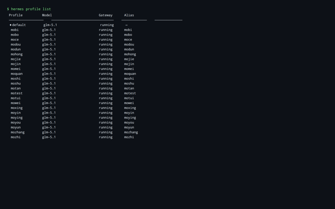 Hermes里24个profile全部跑在glm-5.1