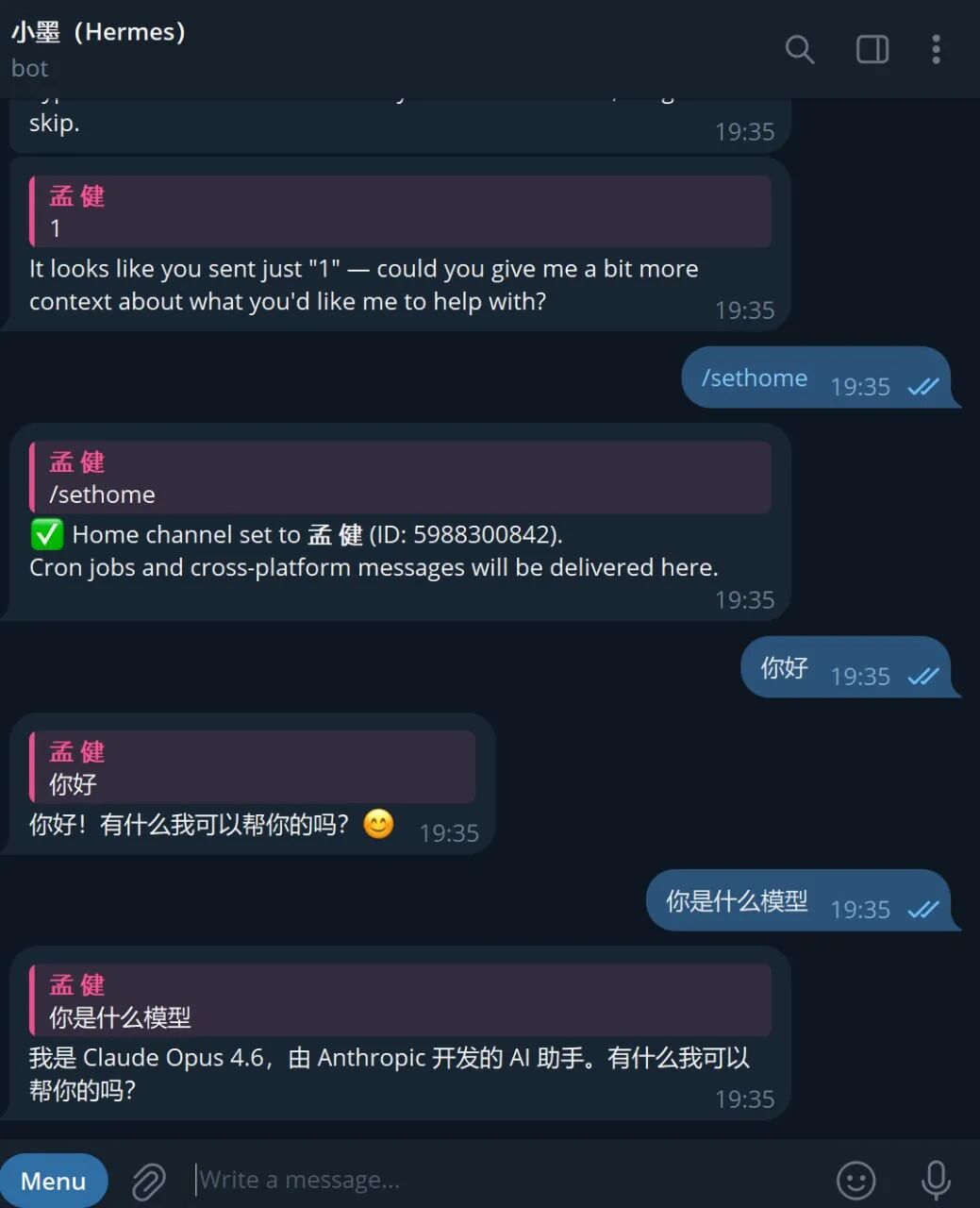 我在 Hermes 里运行任务的真实界面:小墨在调工具、沉淀 skill