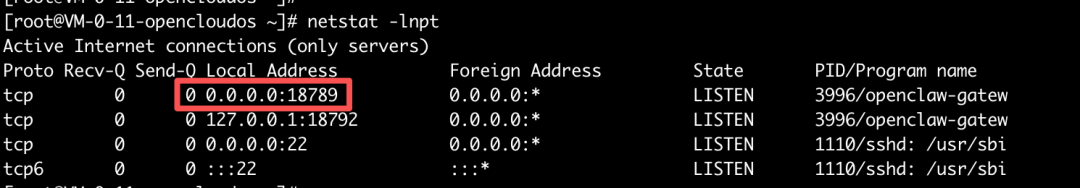 请在此添加图片描述