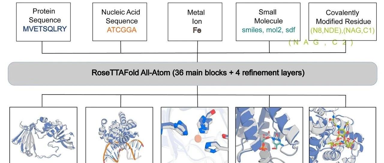 榕树集--RoseTTAFold All-Atom 的简介，安装以及使用