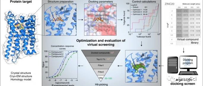 榕树集–大规模分子对接指南
