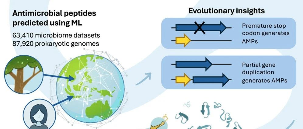 榕树集--利用机器学习在全球微生物组中发掘新型抗菌肽