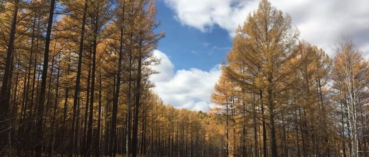 大模型应用的10种架构模式