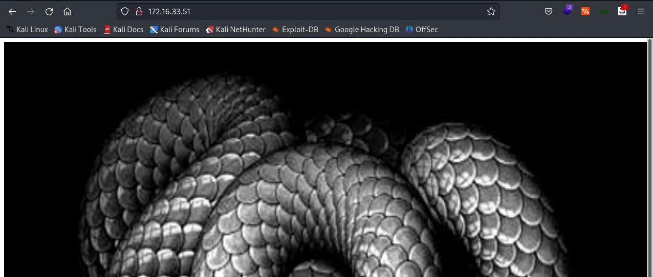 靶机实战(9)：OSCP备考之VulnHub BTRSys v2.1