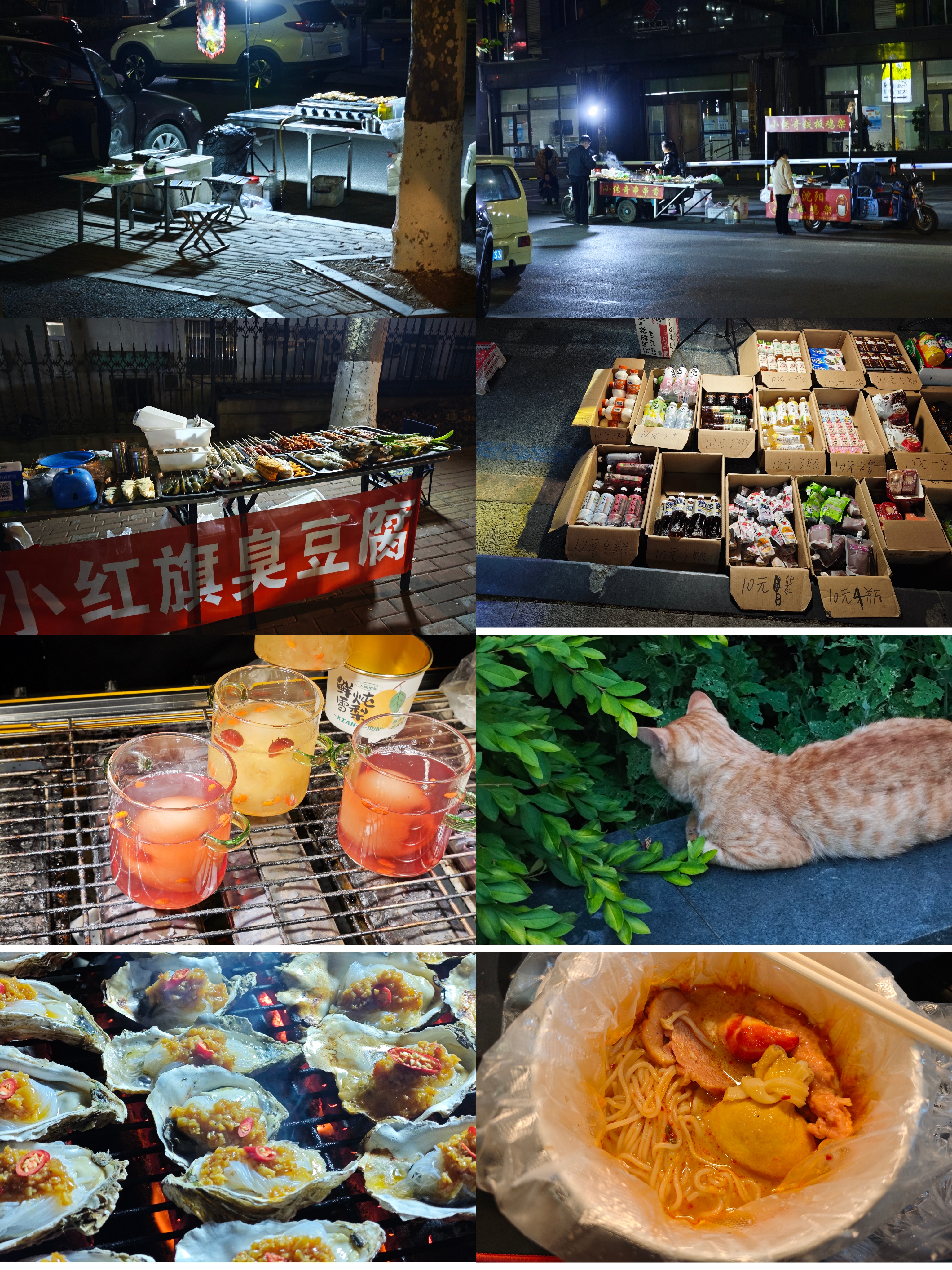 喵：我只是路过